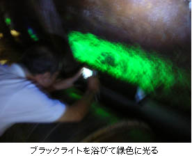 ブラックライト